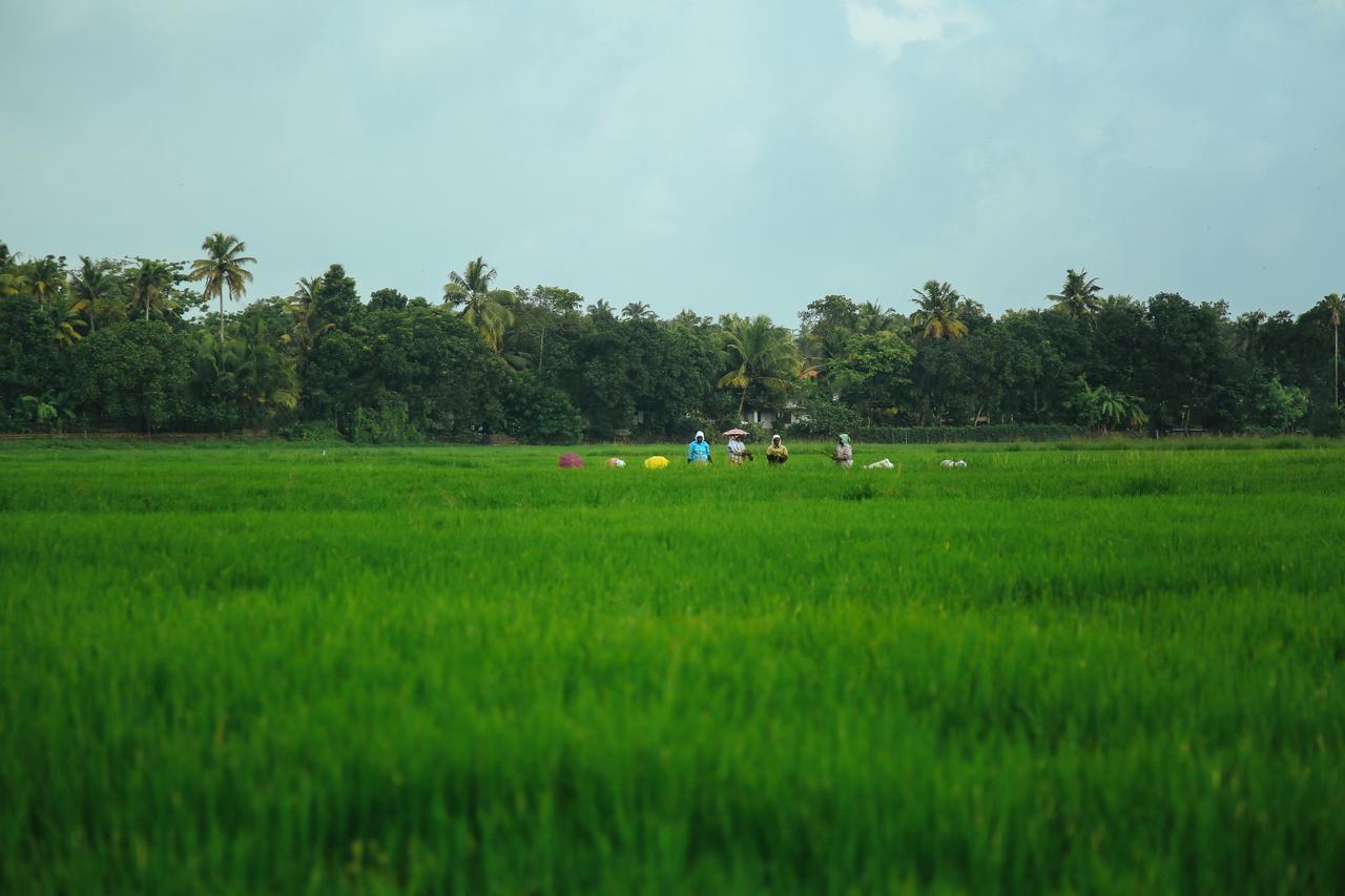 Palmgrove Lake Resort Alappuzha 外观 照片